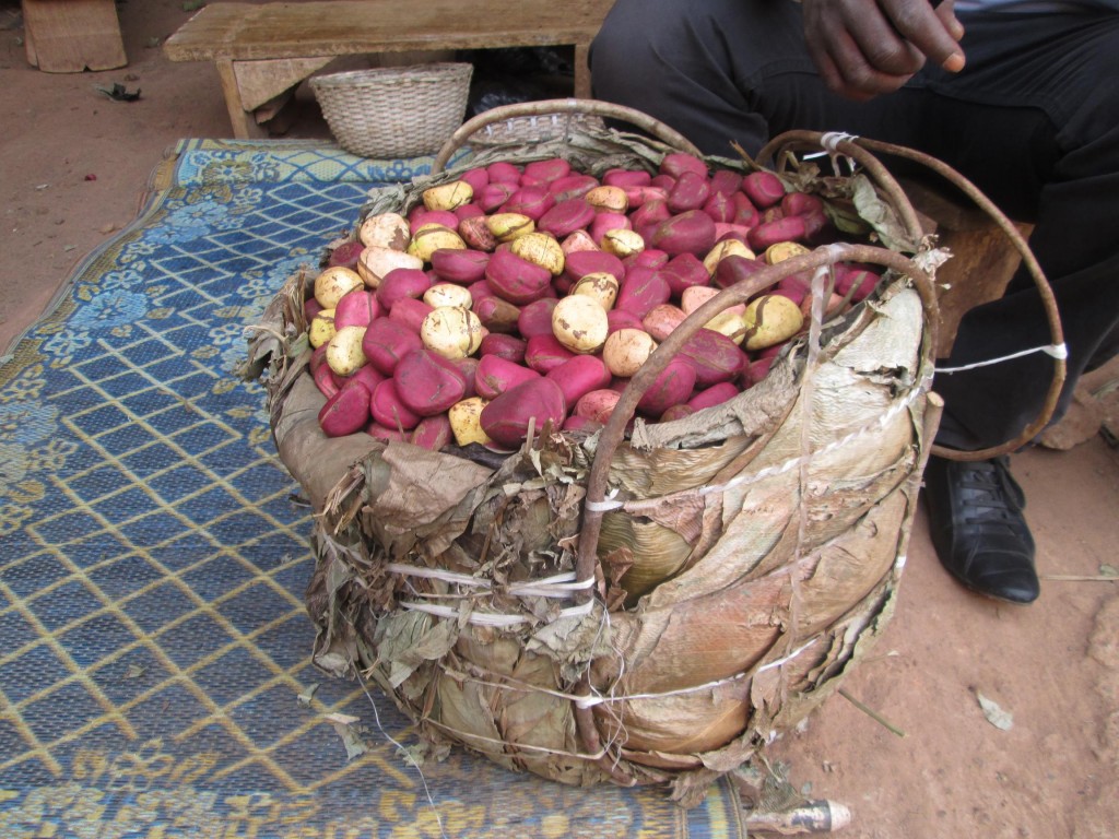 Noix de Kola dans l'emballage d'origine