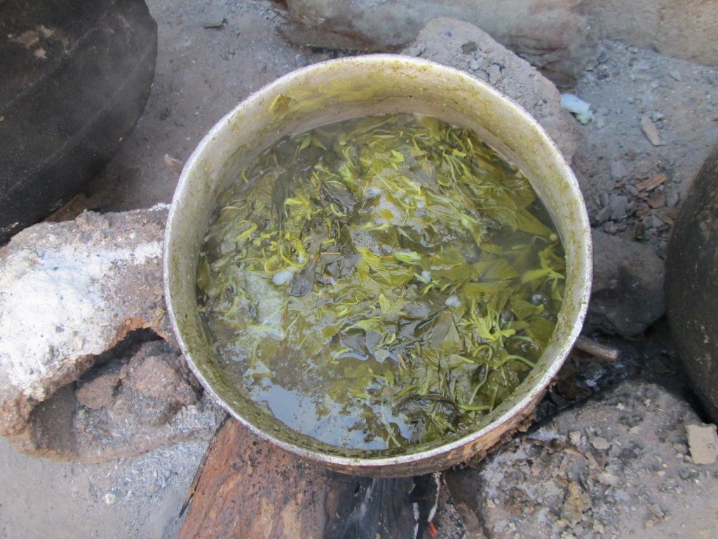 Les herbes cuisent