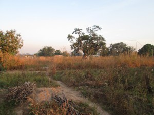 Paysage matinal à Loropeni