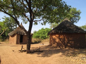 Les cases au village à coté de Loropeni